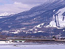 ec/bansai03.jpg