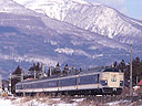 ec/bansai04.jpg