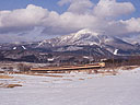 ec/bansai05.jpg