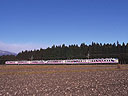 ec/nikko3.jpg