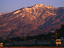 ec/nikko6.jpg