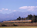 ec/nikko8.jpg