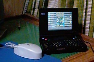 Palmtop PC110