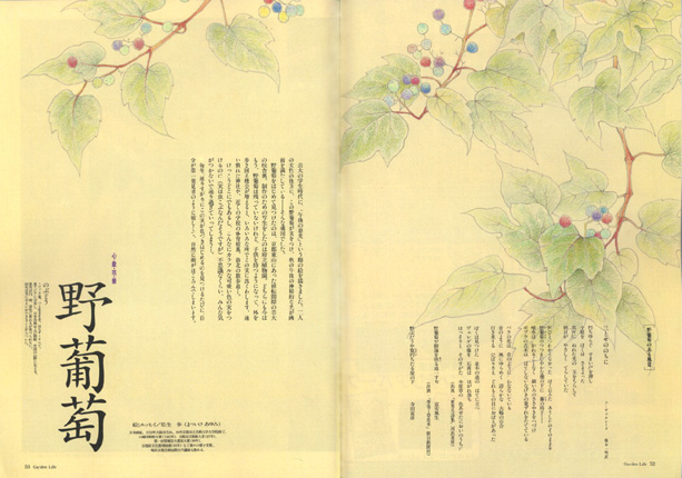 nobudou