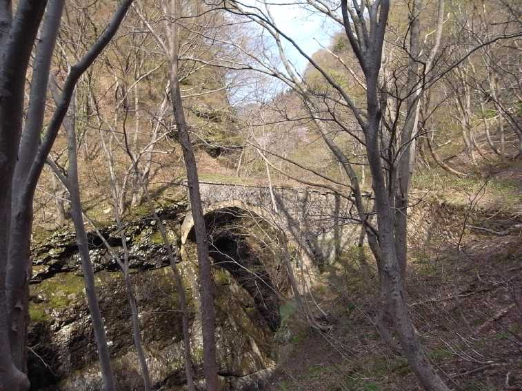 06-11-04.jpg
