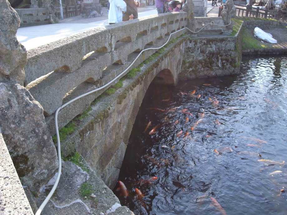 06-12-07.JPG
