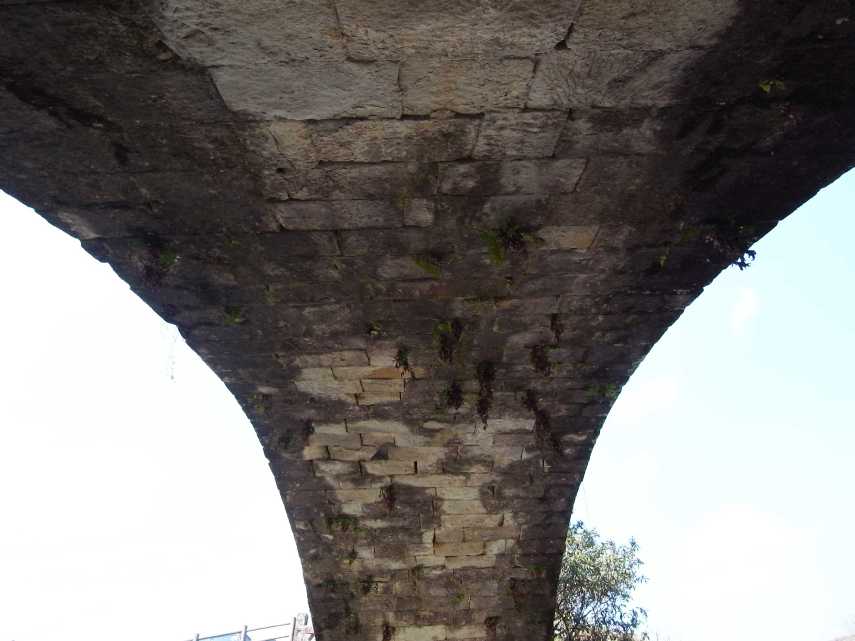 43-07-06.JPG