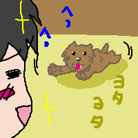 ʐ^B̂߂ǂ̂Ŏ`