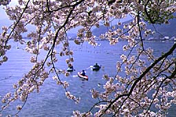 クリックで拡大