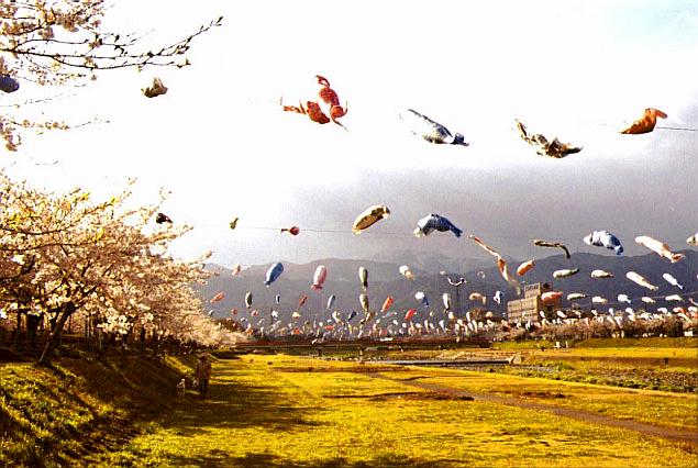 ��̉˂����Q