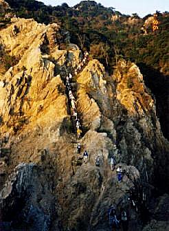 �{���A���v�X