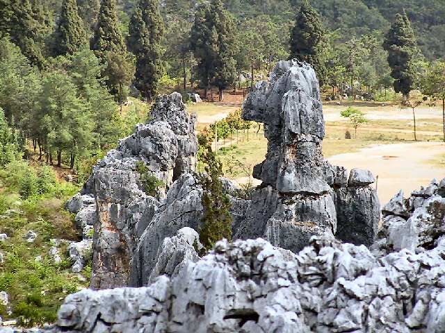 雲南省「石林」の景観