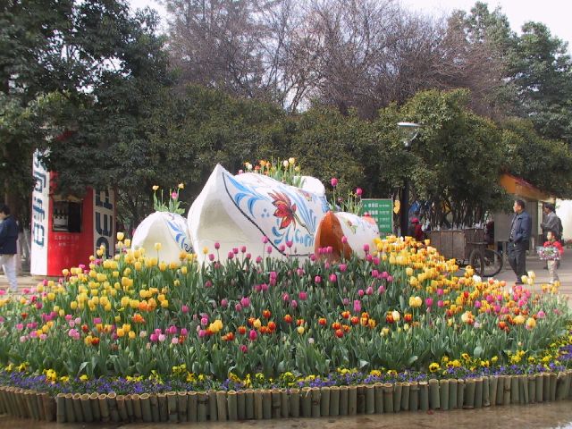 雲南省昆明の翠湖公園