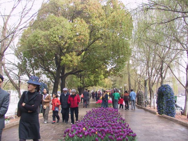 雲南省昆明の翠湖公園