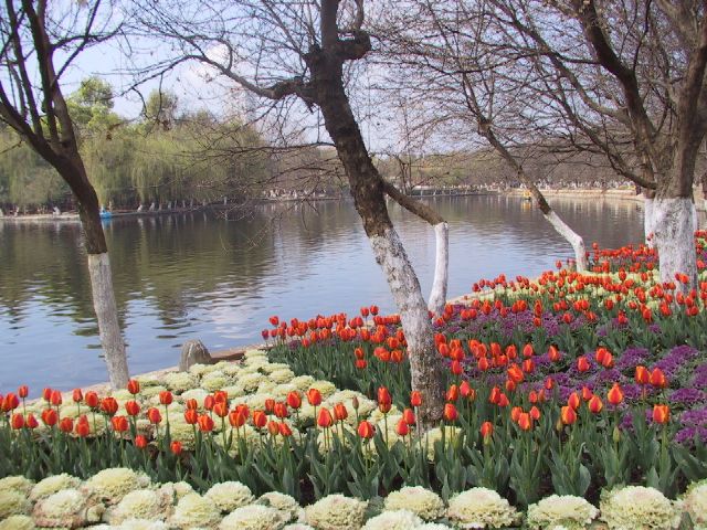 雲南省昆明の翠湖公園