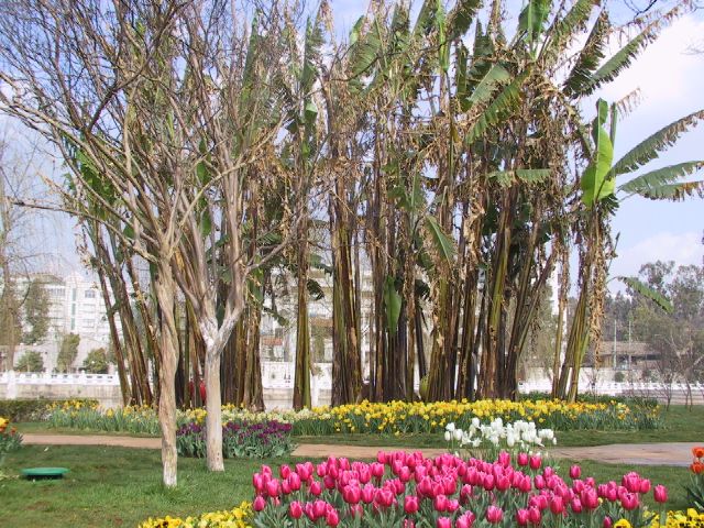 雲南省昆明の翠湖公園