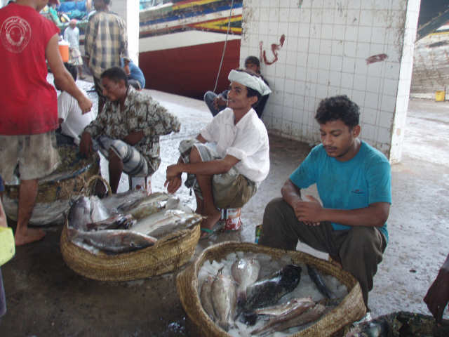 ホディダの魚市場