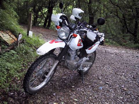 SL230