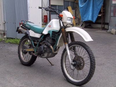 SEROW225