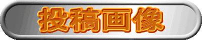 e摜