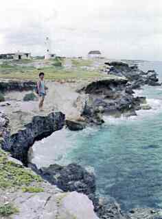 CXEw[X̐