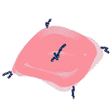 �����ԍ��z�c