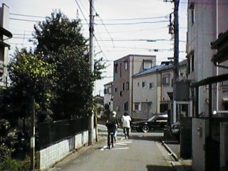 解像度標準