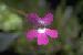 CP-PHOTO-003