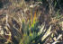 CP-PHOTO-021