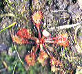 NO PHOTO D-c11