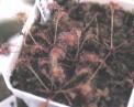 NO PHOTO D-n06