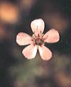 NO PHOTO D-p13-3