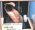 NO PHOTO N-m07