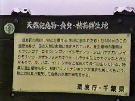 NO PHOTO NARU01