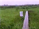 NO PHOTO NARU04
