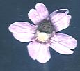 NO PHOTO P-c01-2