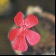 NO PHOTO P-l01-3