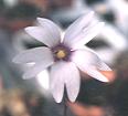 NO PHOTO P-p02-2