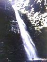 NO PHOTO RORA111