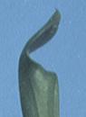 NO PHOTO S-02-a