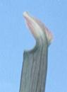 NO PHOTO S-08-a