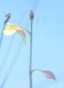 NO PHOTO U-b04-1