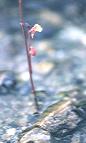 NO PHOTO U-b04-2