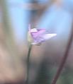 NO PHOTO U-c01-1