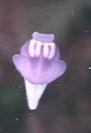 NO PHOTO U-c01