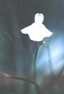 NO PHOTO U-p18-1