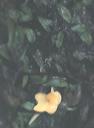 NO PHOTO U-p23-5