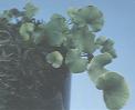 NO PHOTO U-r05-1