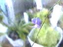 NO PHOTO U-t07-2