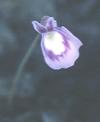 NO PHOTO U-t10